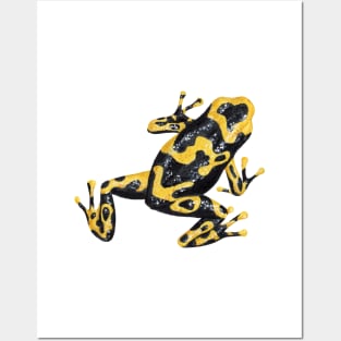 Dart frog Posters and Art